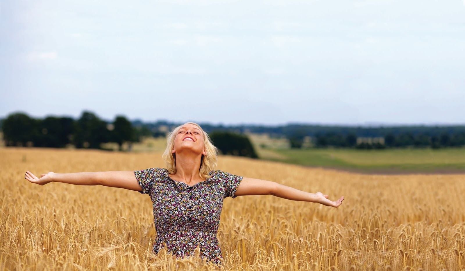 Wellspan Philhaven - Isabel Drive